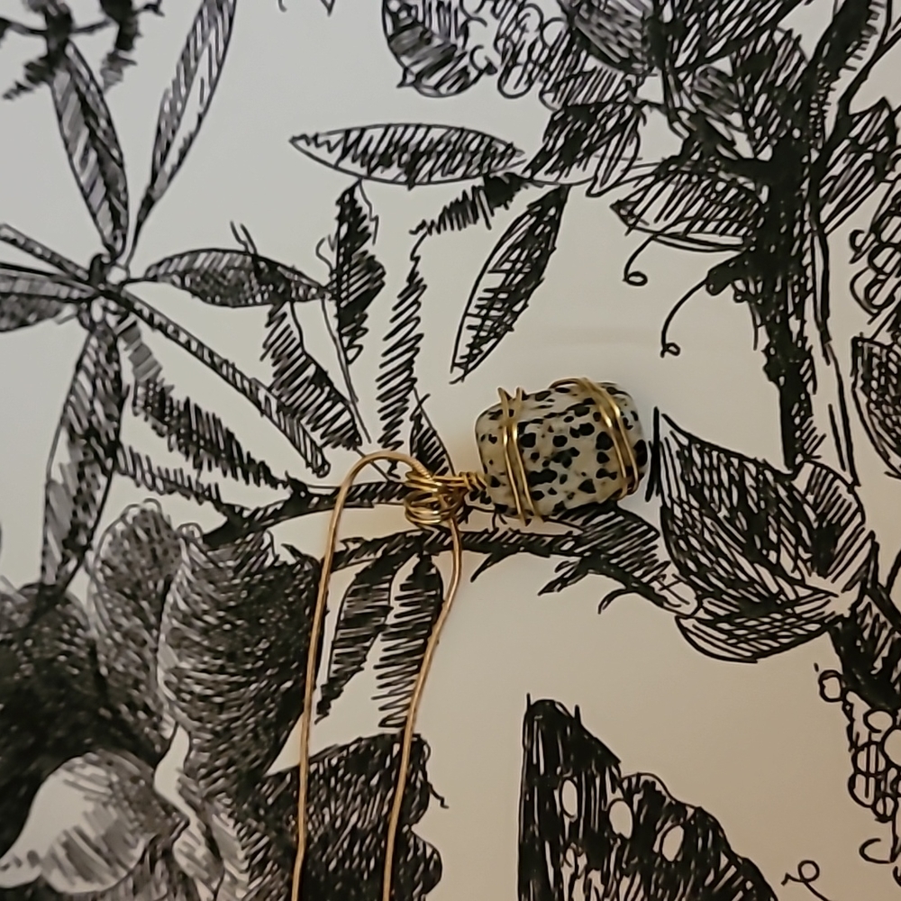 Dalmatian Jasper Necklace